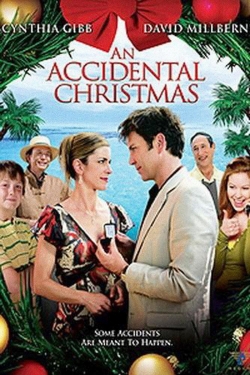 An Accidental Christmas-fmovies