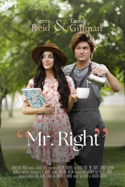 Mr. Right-fmovies