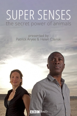 Super Senses: The Secret Power of Animals-fmovies