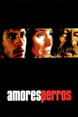Amores Perros-fmovies