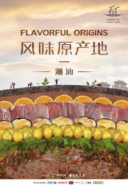 Flavorful Origins-fmovies