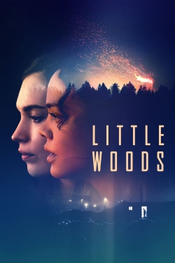 Little Woods-fmovies