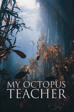 My Octopus Teacher-fmovies