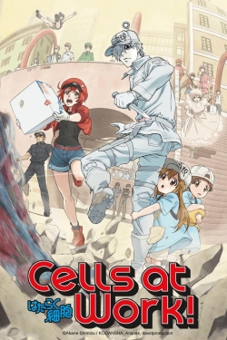 Cells at Work!-fmovies