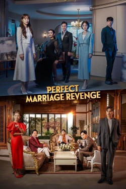 Perfect Marriage Revenge-fmovies