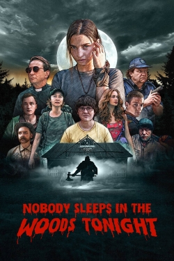 Nobody Sleeps in the Woods Tonight-fmovies