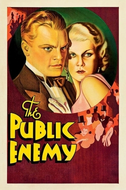 The Public Enemy-fmovies