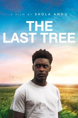 The Last Tree-fmovies