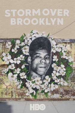 Yusuf Hawkins: Storm Over Brooklyn-fmovies