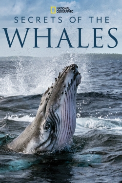 Secrets of the Whales-fmovies
