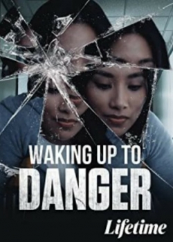Waking Up To Danger-fmovies