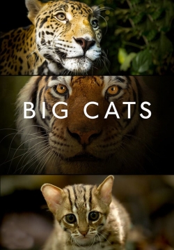 Big Cats-fmovies