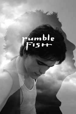 Rumble Fish-fmovies