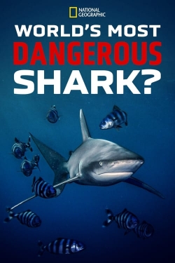 World's Most Dangerous Shark?-fmovies
