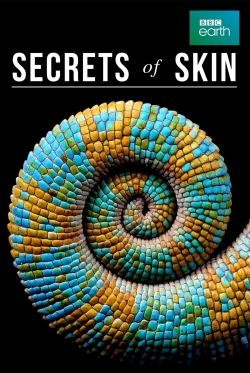 Secrets of Skin-fmovies