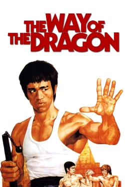 The Way of the Dragon-fmovies
