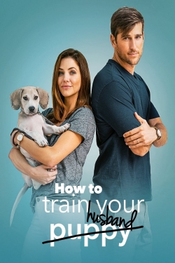 How to Train Your Husband-fmovies