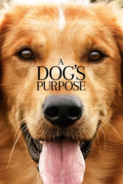 A Dog's Purpose-fmovies