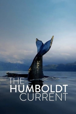 The Humboldt Current-fmovies