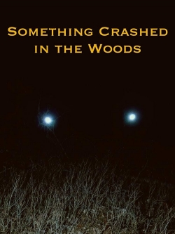 Something Crashed in the Woods-fmovies