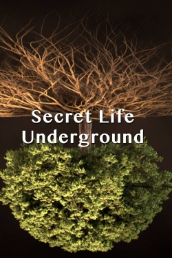 Secret Life Underground-fmovies