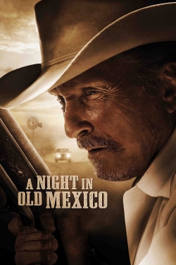 A Night in Old Mexico-fmovies