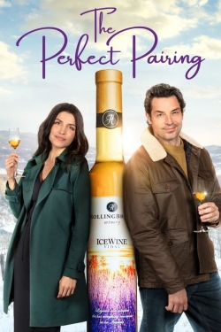The Perfect Pairing-fmovies