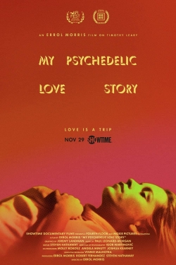 My Psychedelic Love Story-fmovies