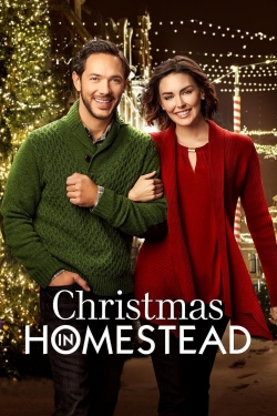 Christmas in Homestead-fmovies