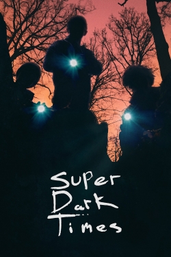 Super Dark Times-fmovies