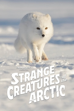 Strange Creatures of the Arctic-fmovies