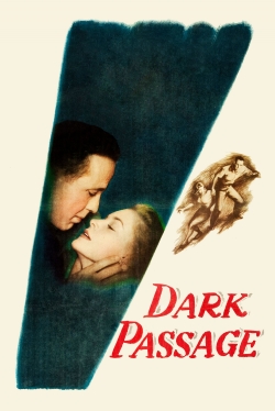 Dark Passage-fmovies