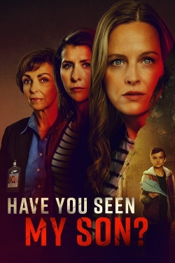 Have You Seen My Son?-fmovies
