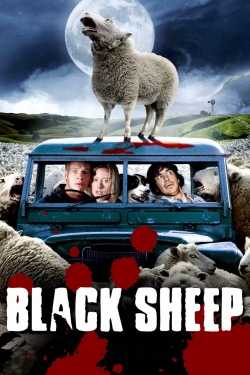 Black Sheep-fmovies