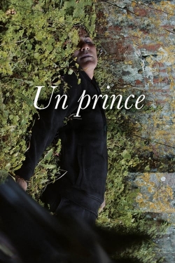 A Prince-fmovies