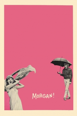 Morgan: A Suitable Case for Treatment-fmovies