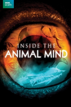 Inside the Animal Mind-fmovies
