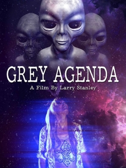 Grey Agenda-fmovies