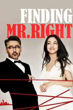 Finding Mr. Right-fmovies
