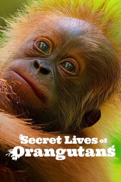 Secret Lives of Orangutans-fmovies