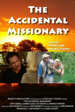 The Accidental Missionary-fmovies