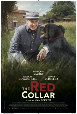 The Red Collar-fmovies