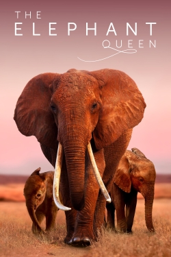The Elephant Queen-fmovies