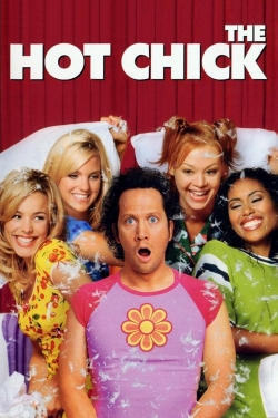 The Hot Chick-fmovies
