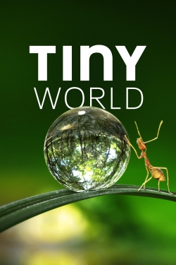 Tiny World-fmovies