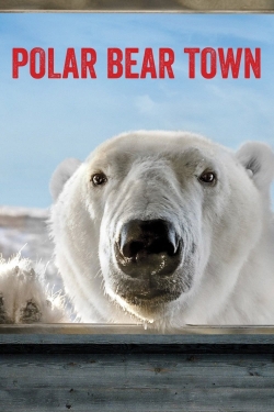 Polar Bear Town-fmovies