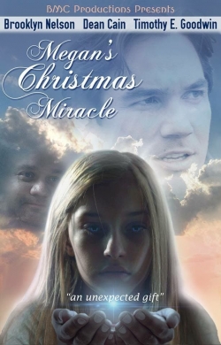 Megan's Christmas Miracle-fmovies
