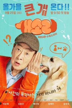 Dog Knows Everything-fmovies