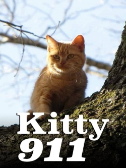 Kitty 911-fmovies