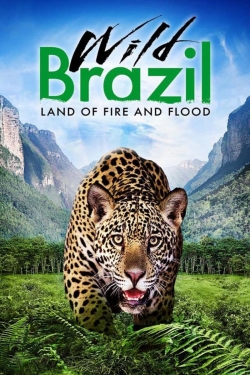 Wild Brazil-fmovies